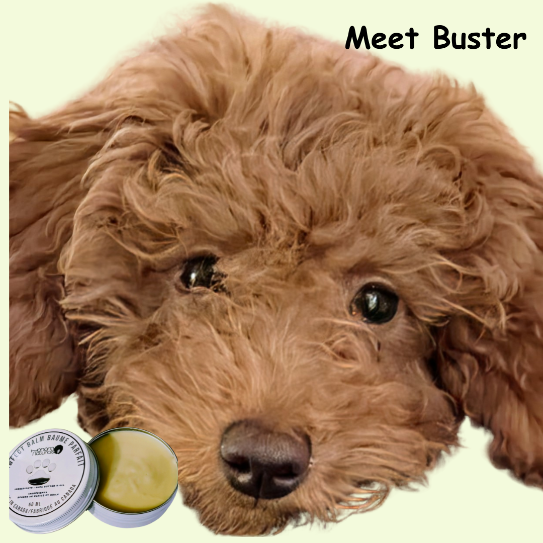 Pawfect Balm for Dogs - Natural Shea Butter Paw Moisturizer